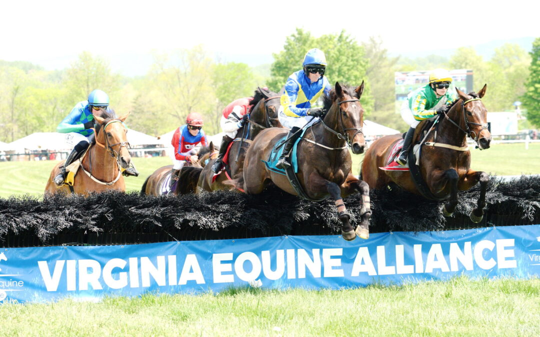 Great Meadow trial races to test improved course