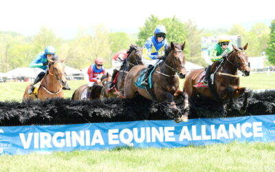 Great Meadow trial races to test improved course