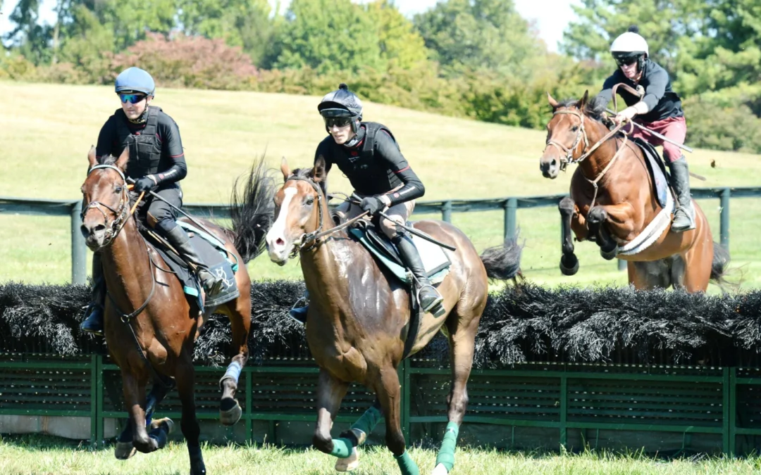 Hurdle trials at Great Meadow map new course ahead of fall circuit