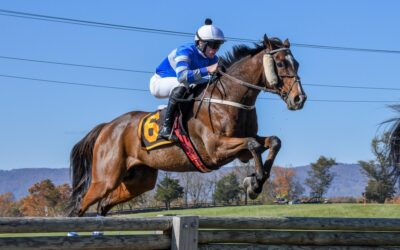 Largest steeplechase event in the country returns to Virginia this month